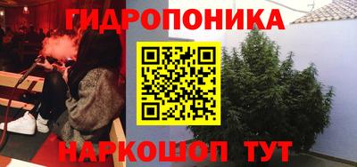 стафф Бузулук
