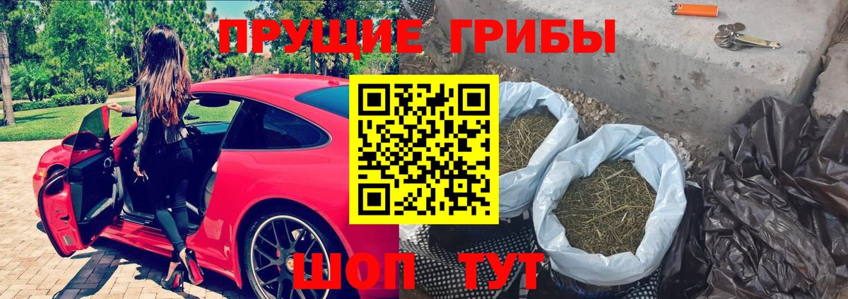Галлюциногенные грибы мухоморы Энгельс
